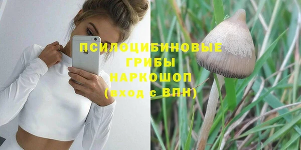 герыч Вяземский
