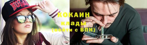 шишки Баксан