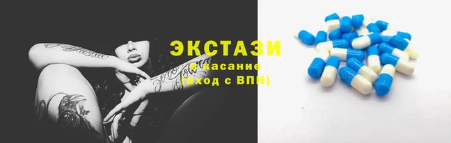 мяу мяу мука Вязники