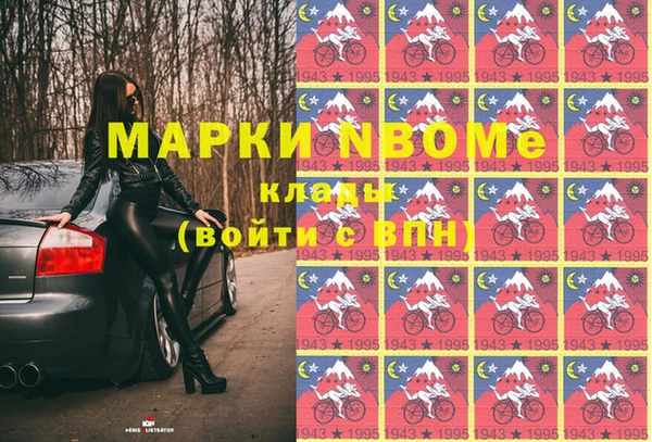 шишки Баксан