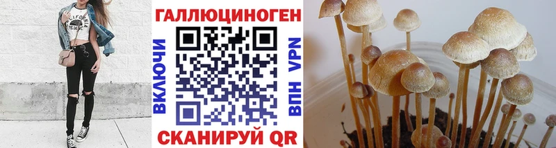 цены   Энем  Псилоцибиновые грибы мухоморы 